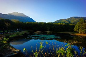 陽明山國家公園_冷水坑